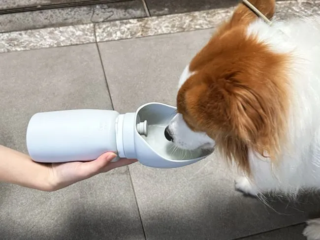 silicone dog water bottle