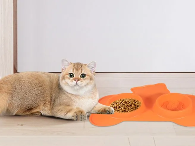 Silicone Pet Feeding Plate